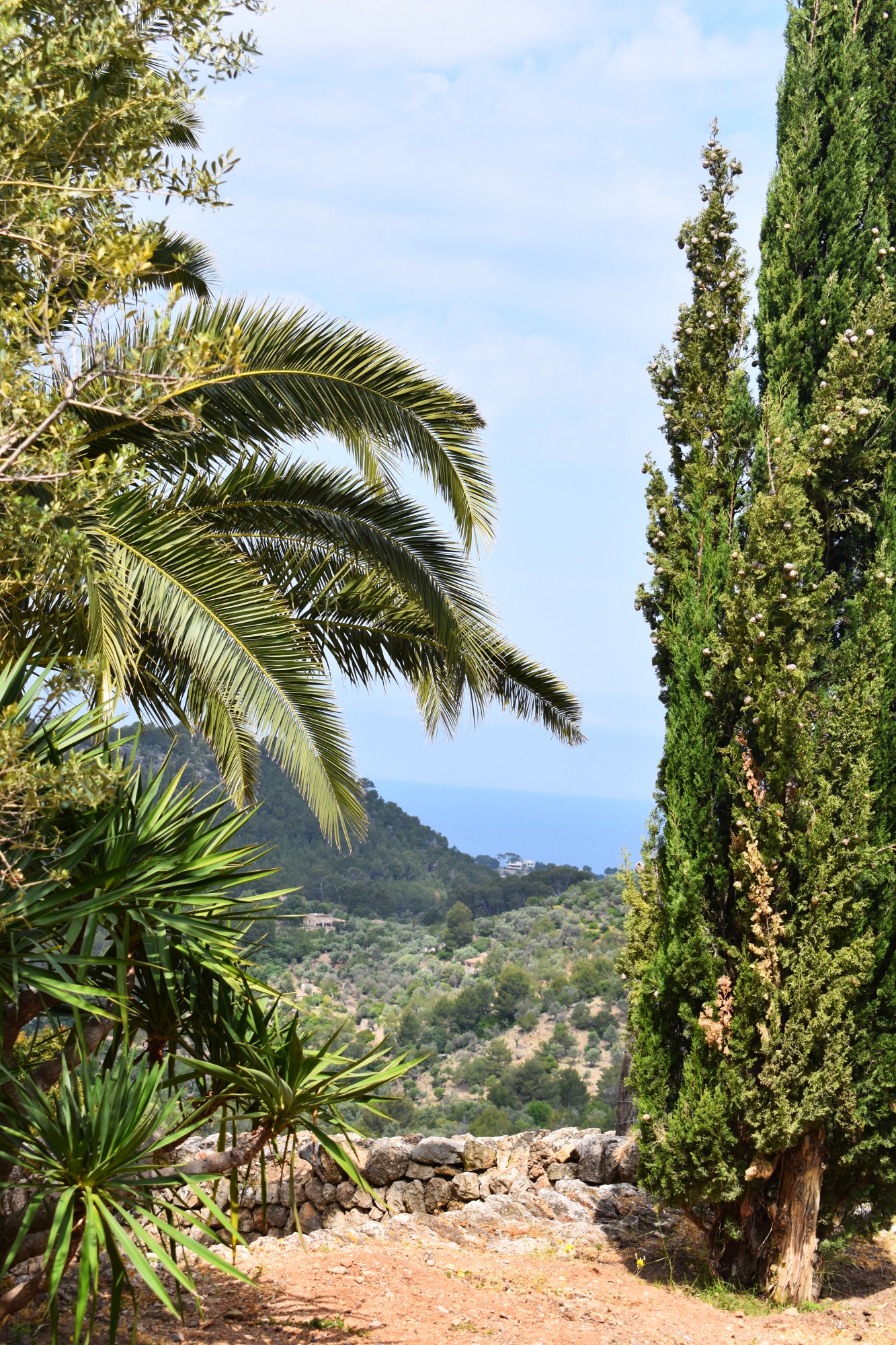 Mallorca, Soller, Reisen, Reiseblog