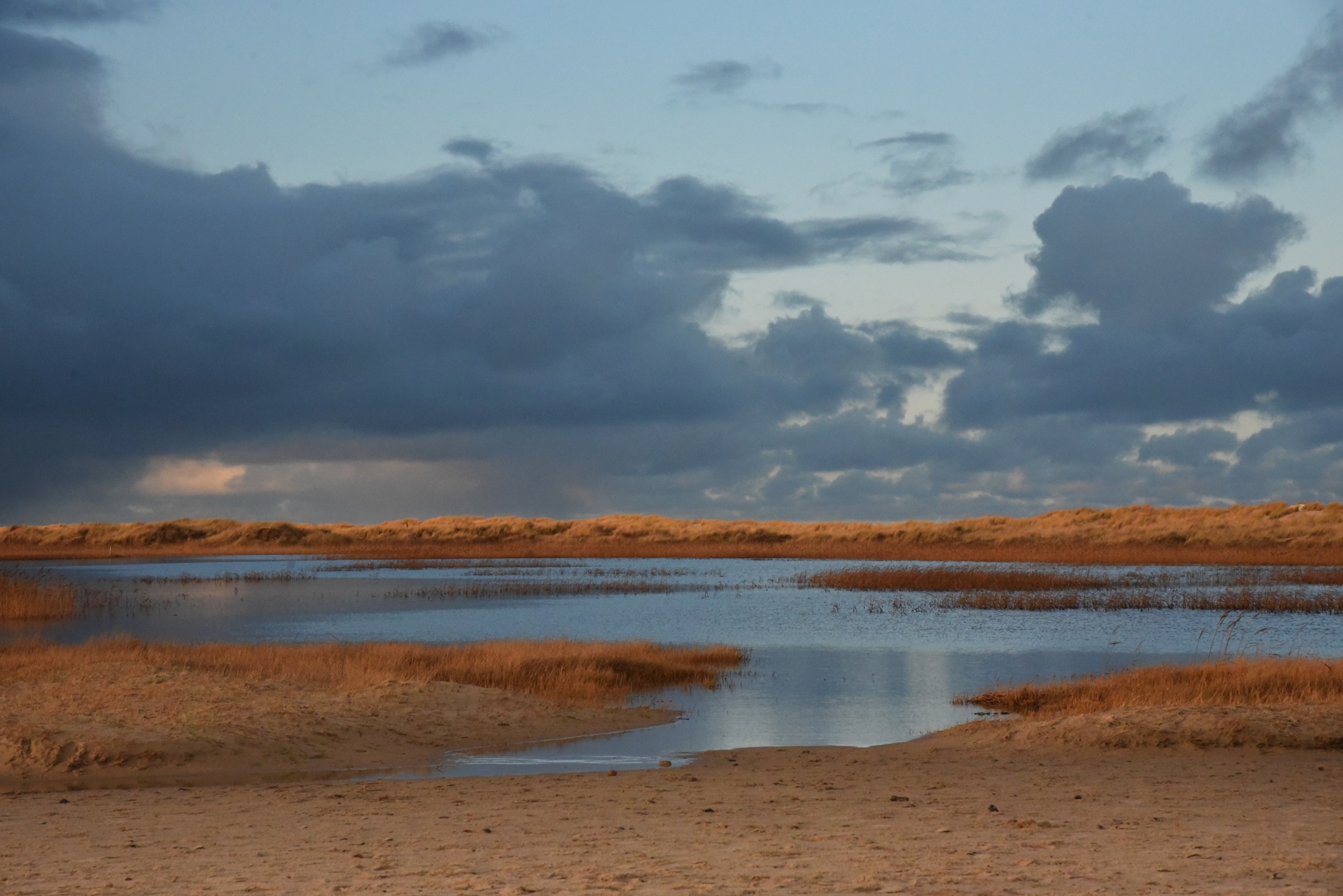 Grene Skagen