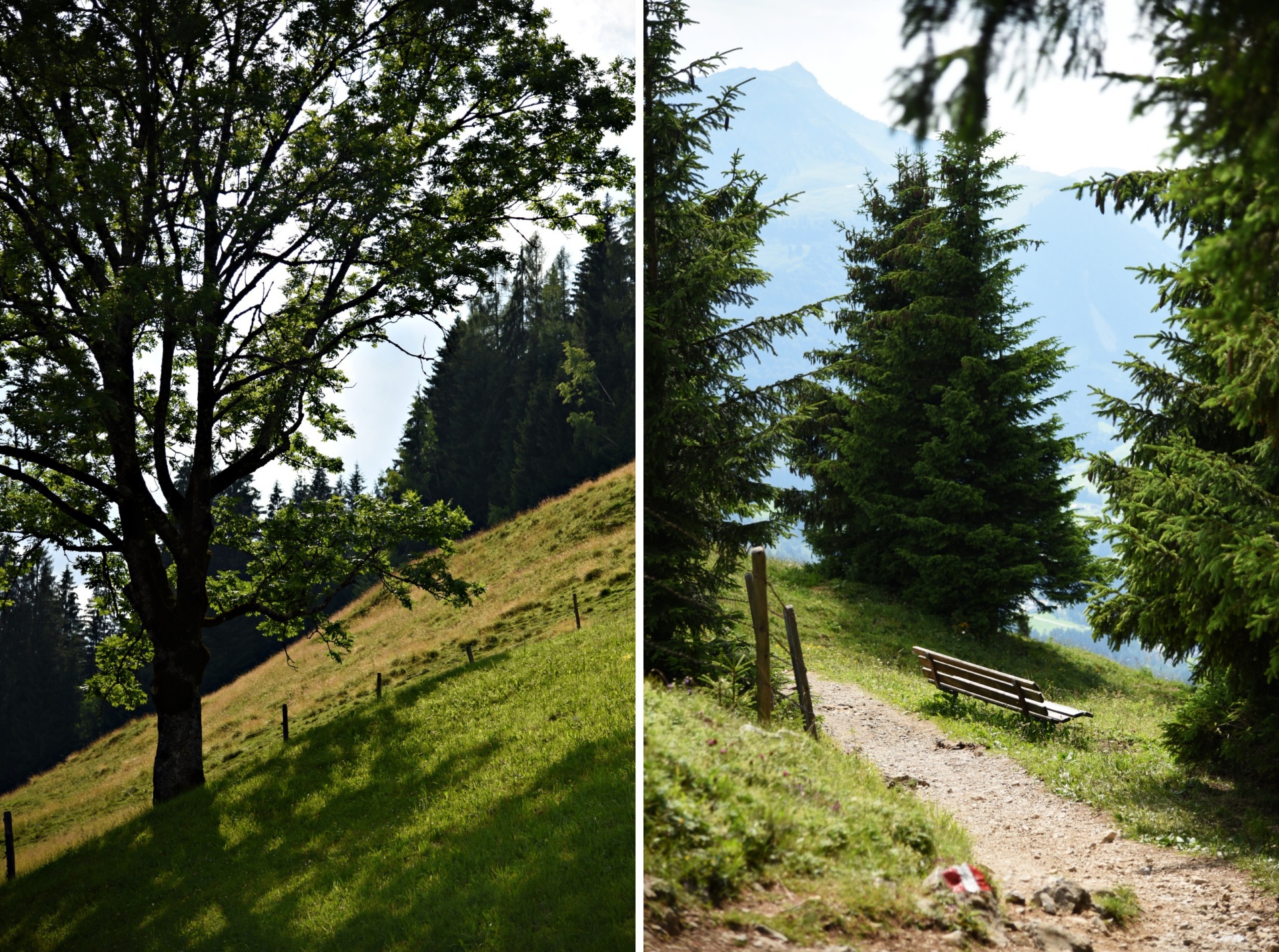 Urlaub in Österreich