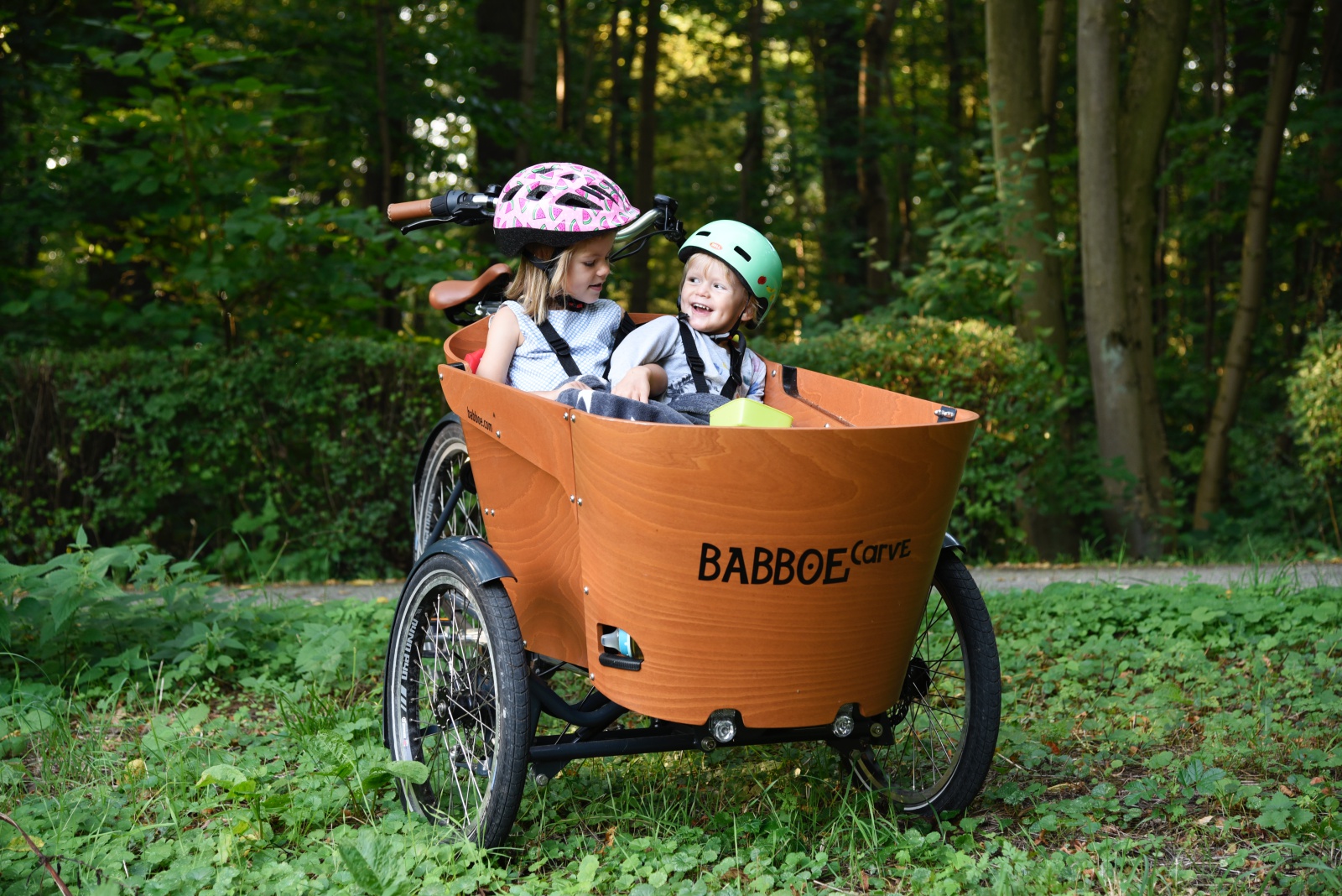 Babboe Carve Mountain